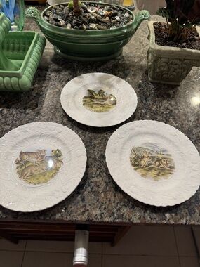 Queens English China Plates